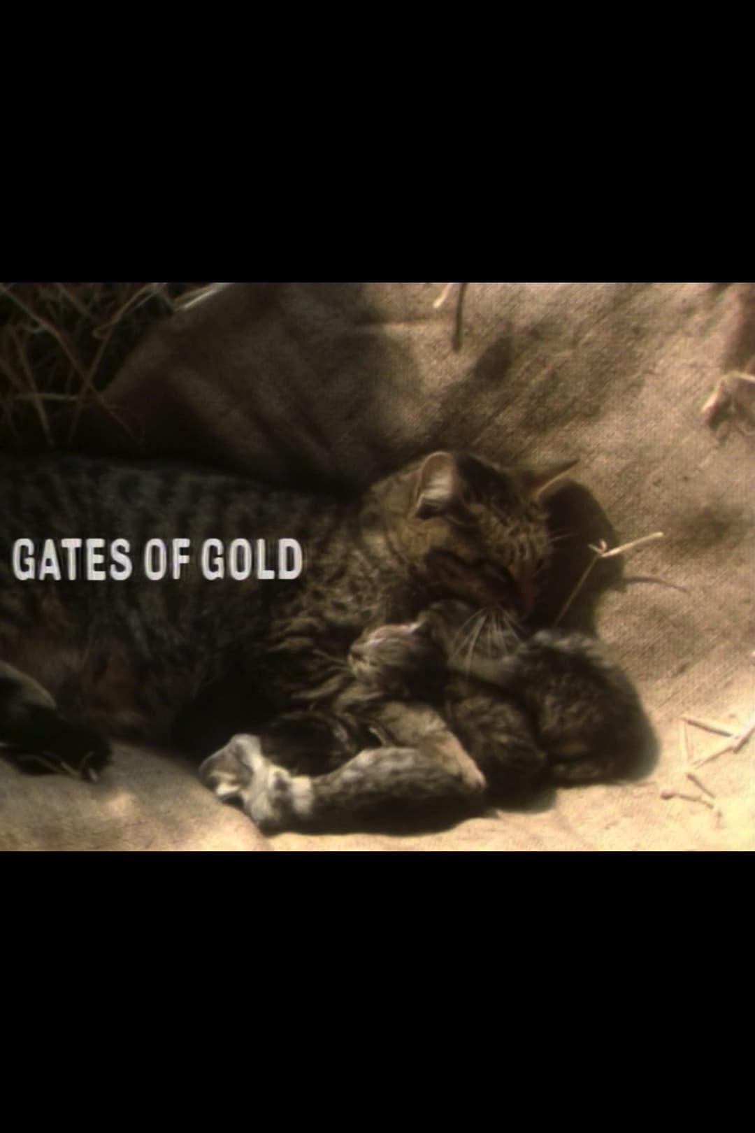 Poster di Gates of Gold