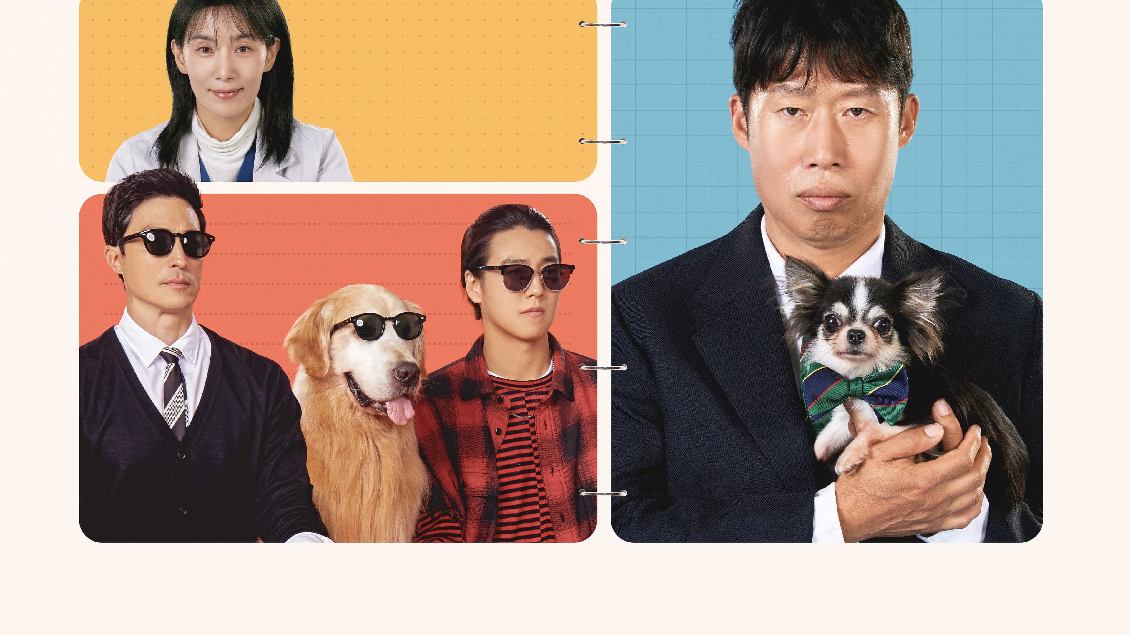 Dog Days - immagine