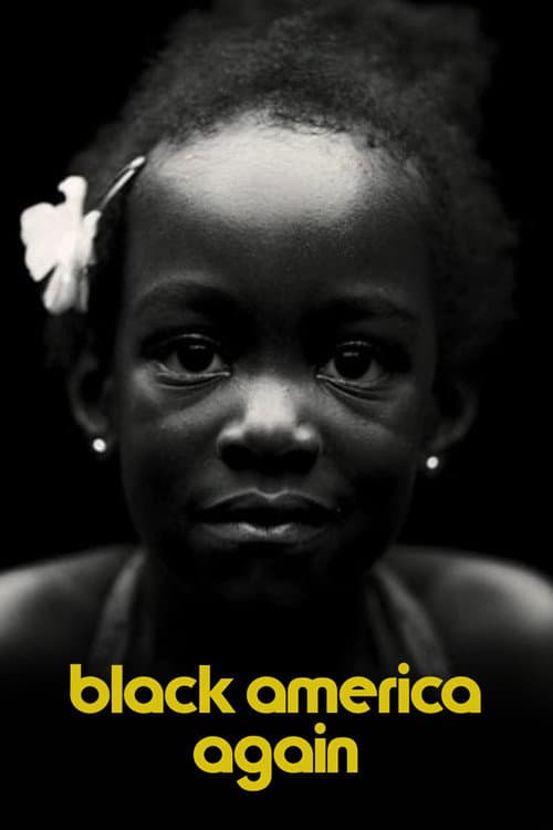 Poster di Black America Again
