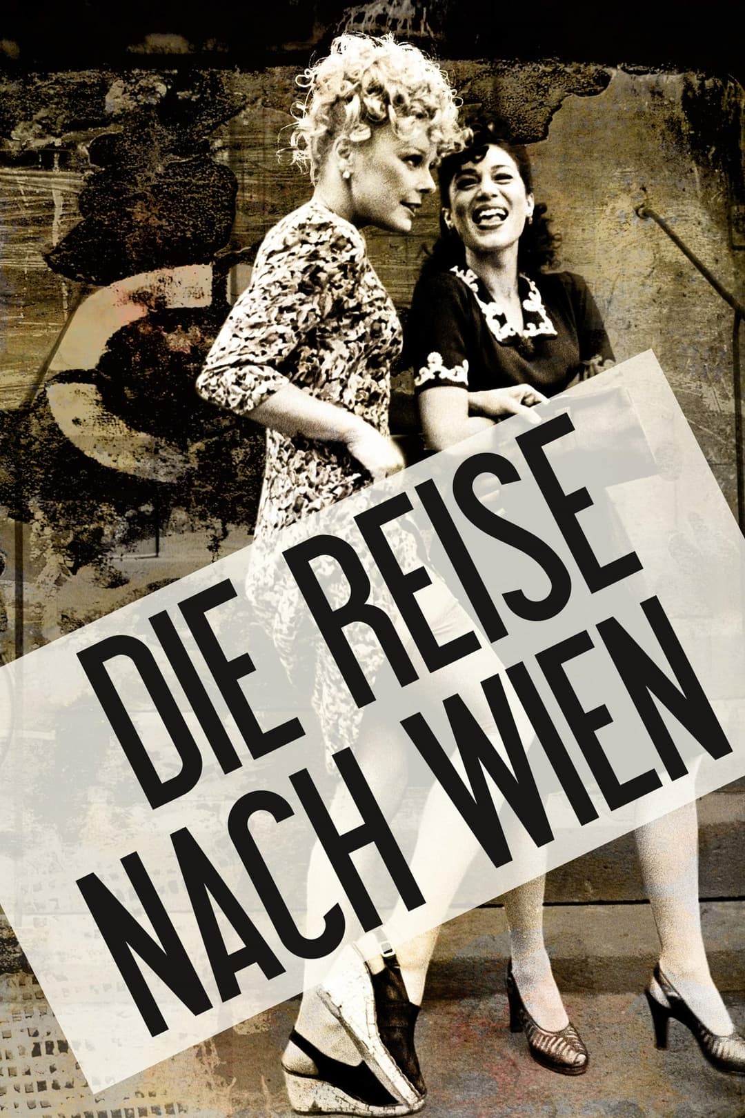 Poster di Il viaggio a Vienna