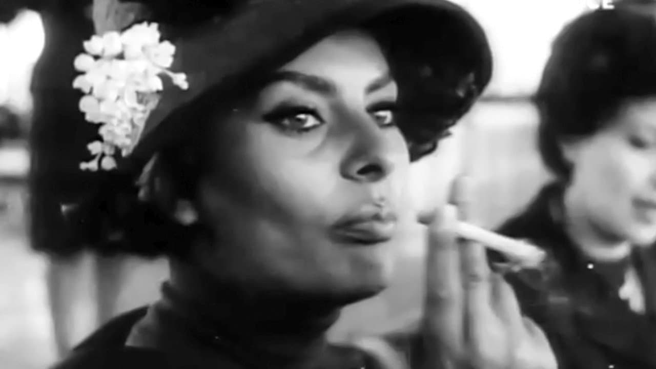 Cercando Sophia - immagine