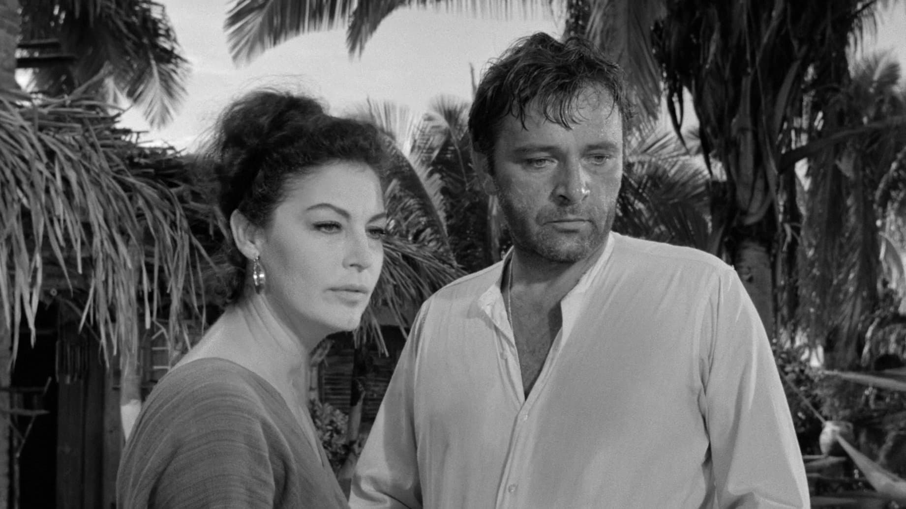 La notte dell'iguana - immagine