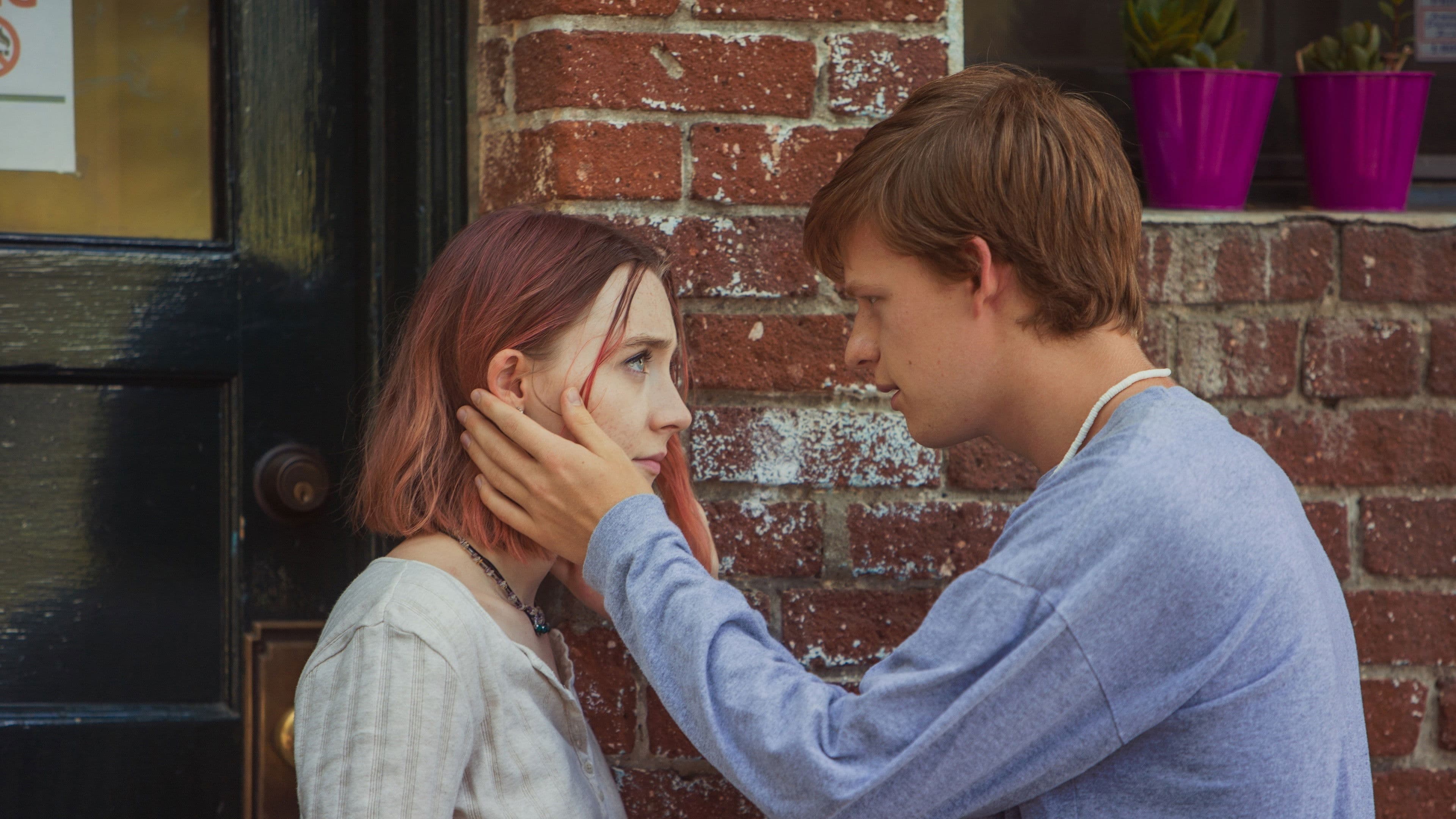 Lady Bird - immagine