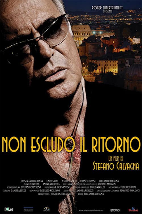 Poster di Non escludo il ritorno