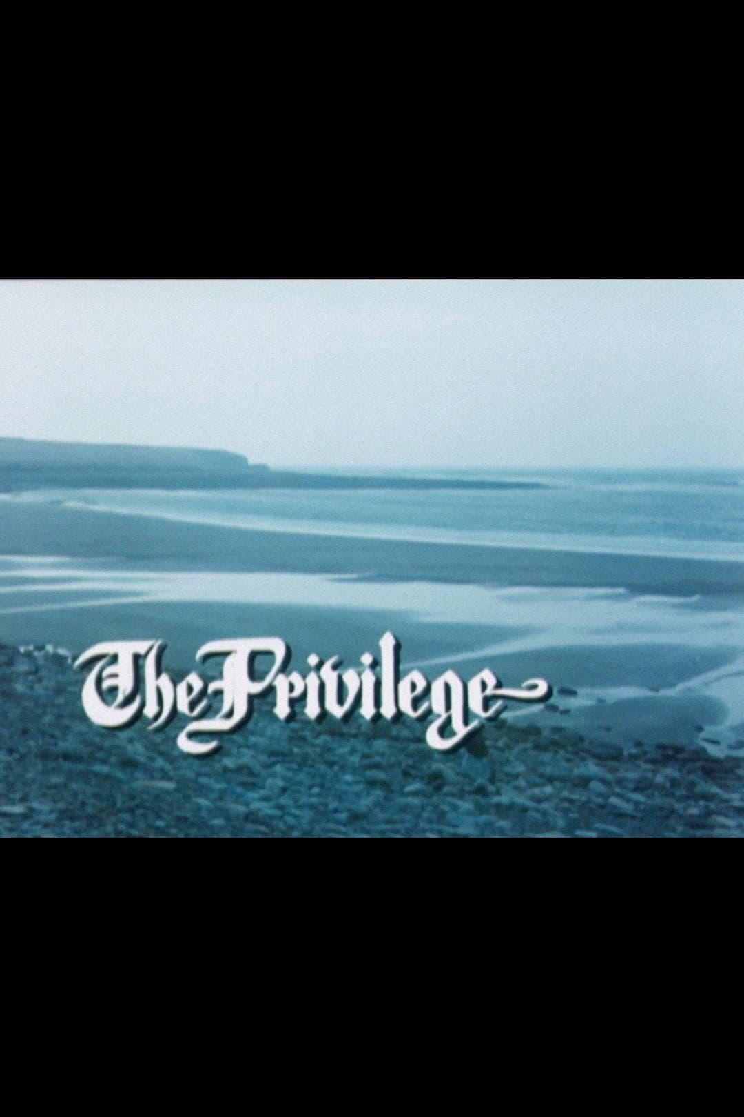 Poster di The Privilege