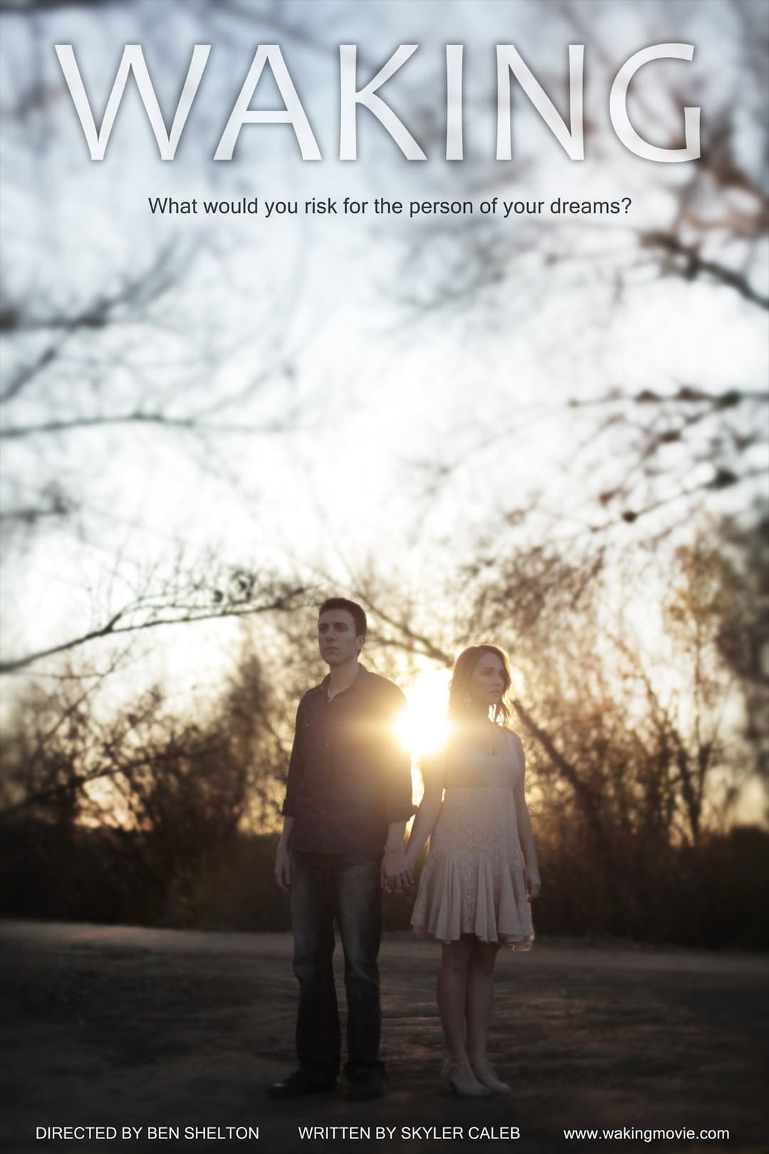 Poster di Waking
