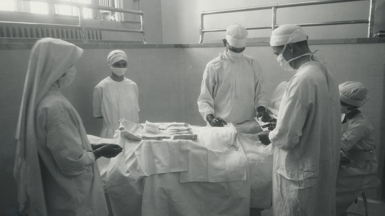 The Mayo Clinic - immagine