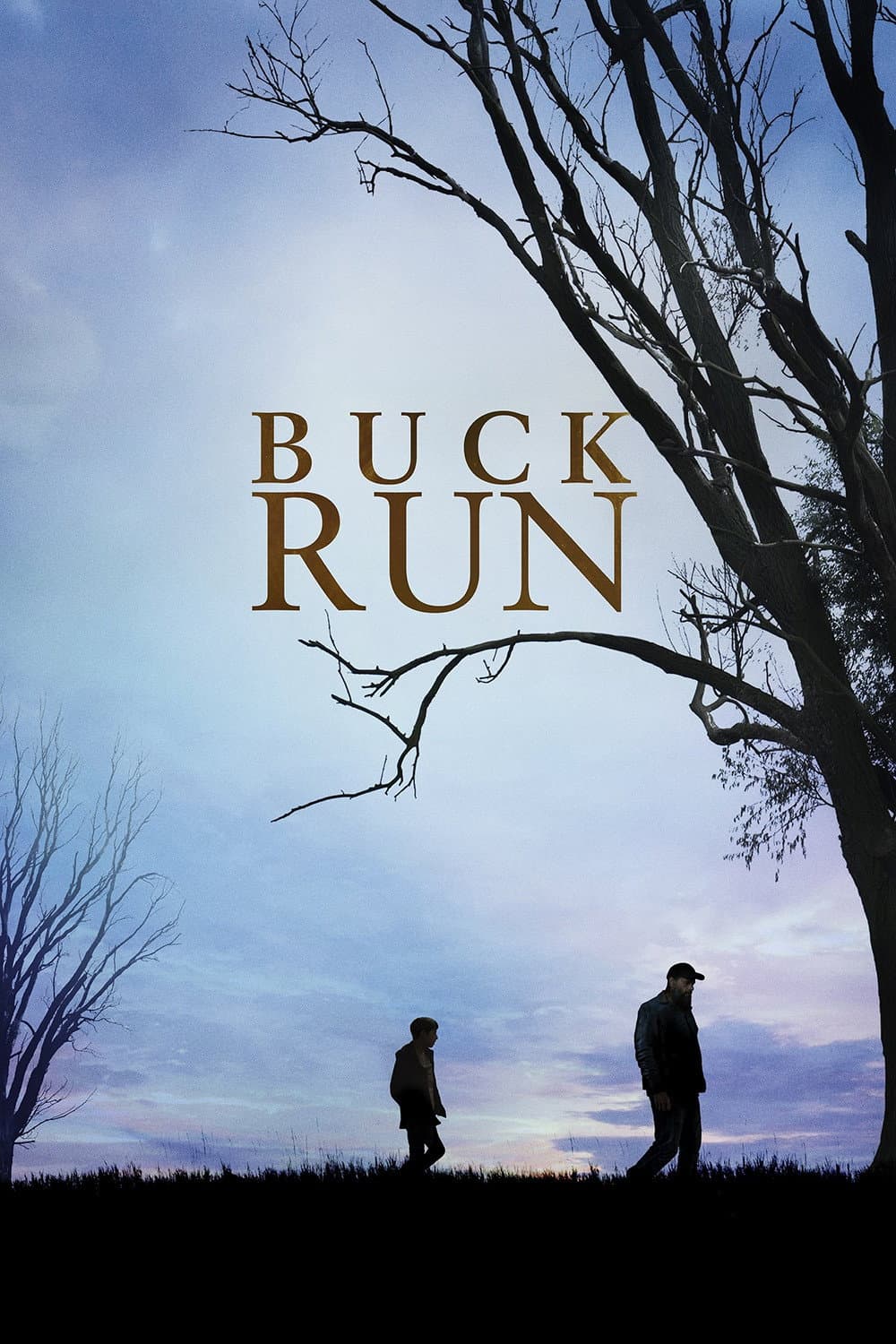 Poster di Buck Run