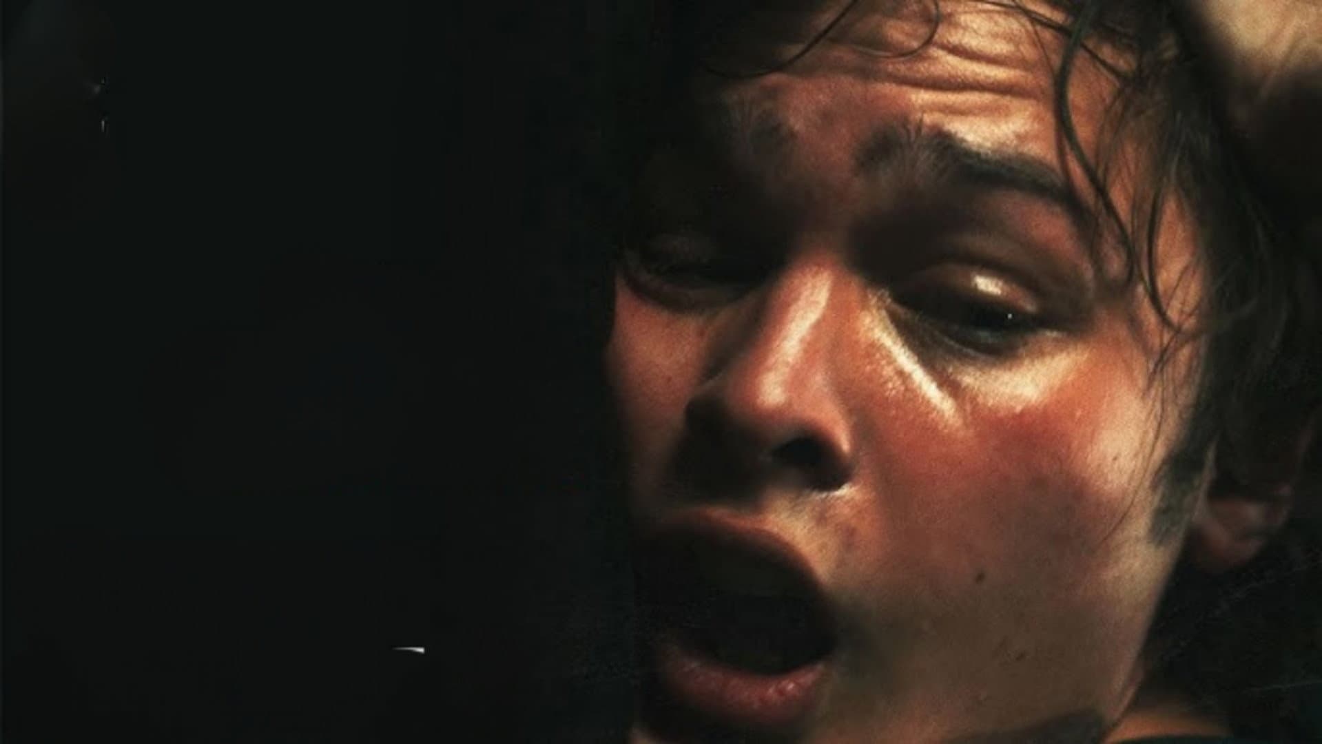 Bleeding - immagine