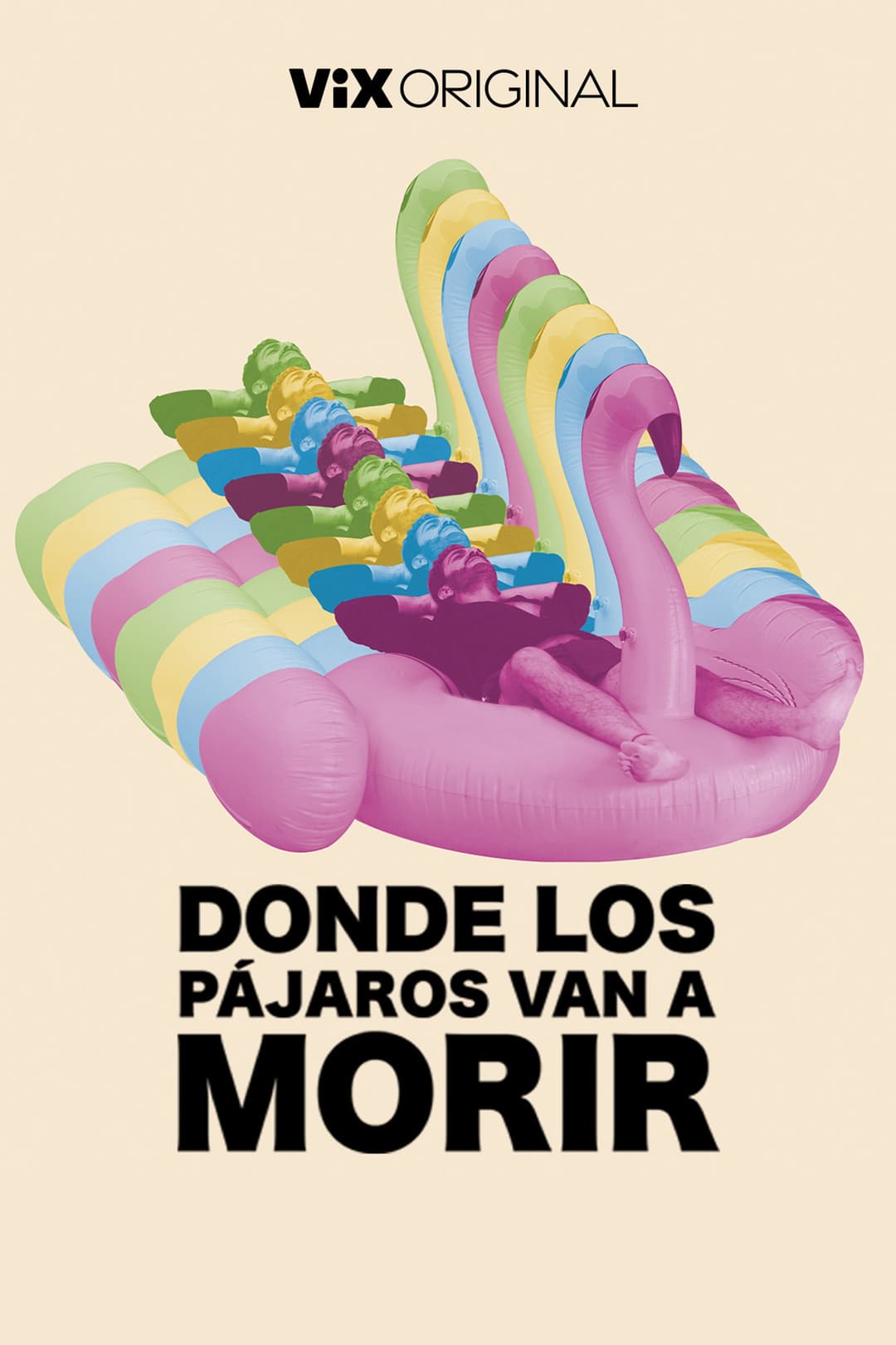 Poster di Donde los pájaros van a morir