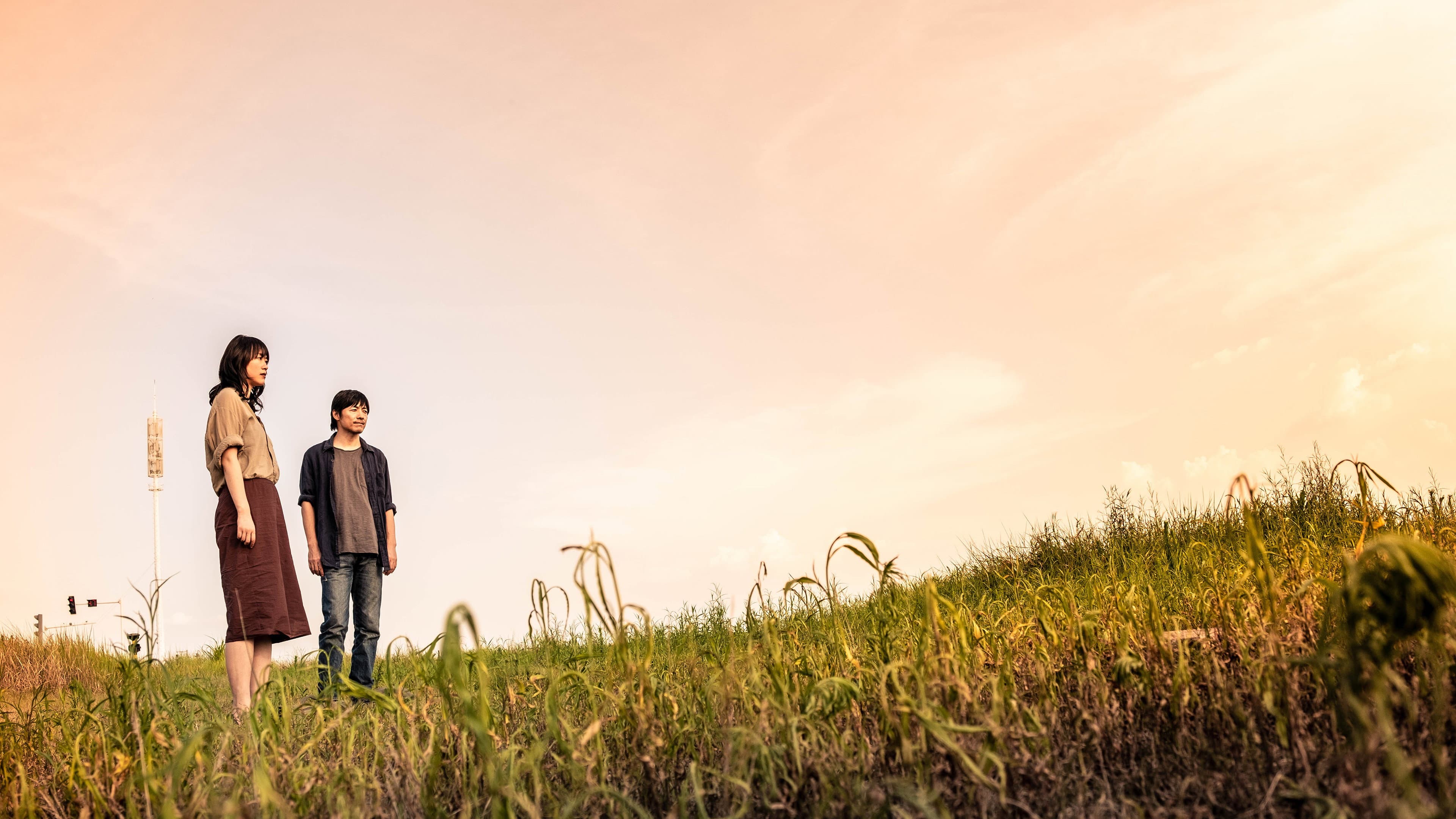 Summer of Changsha - immagine