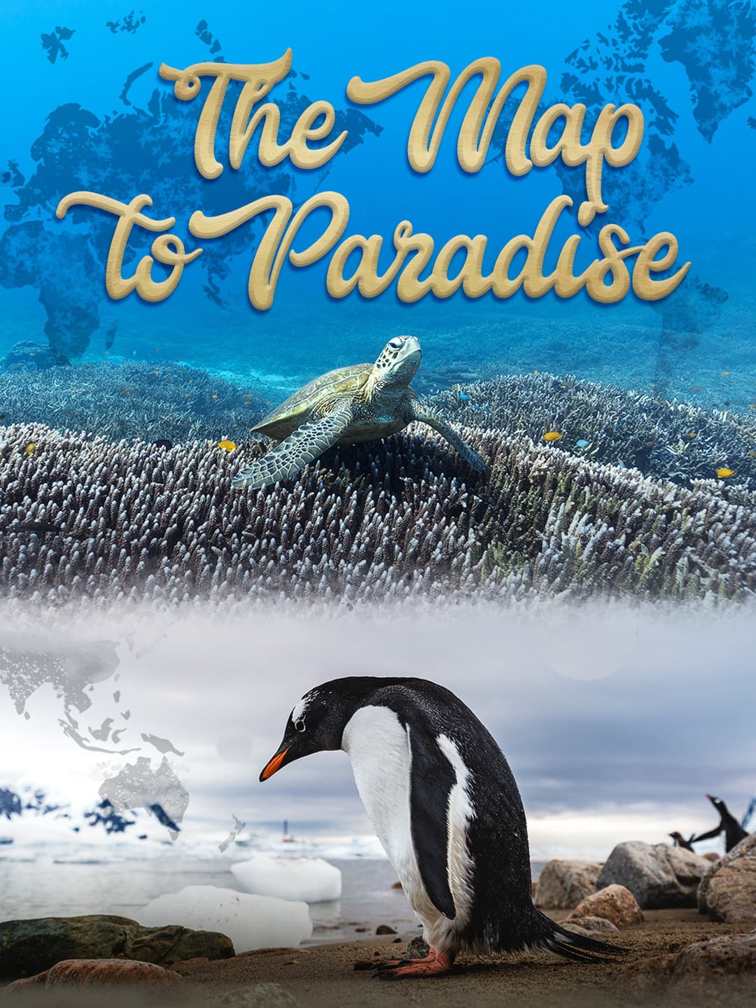 Poster di The Map to Paradise