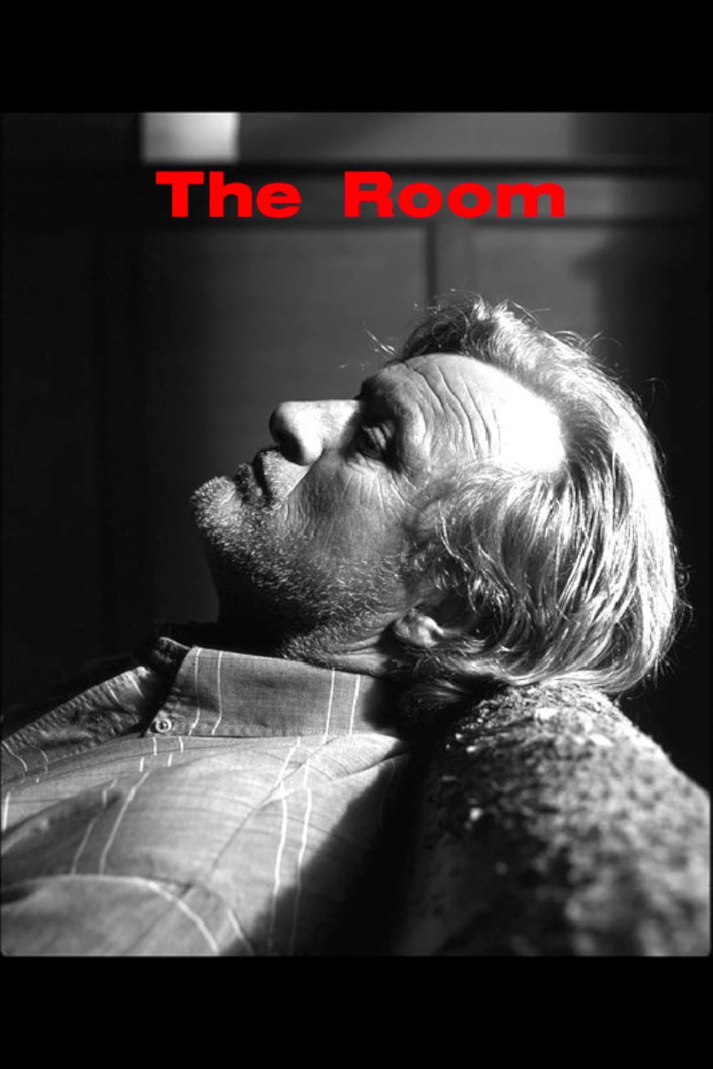 Poster di The Room