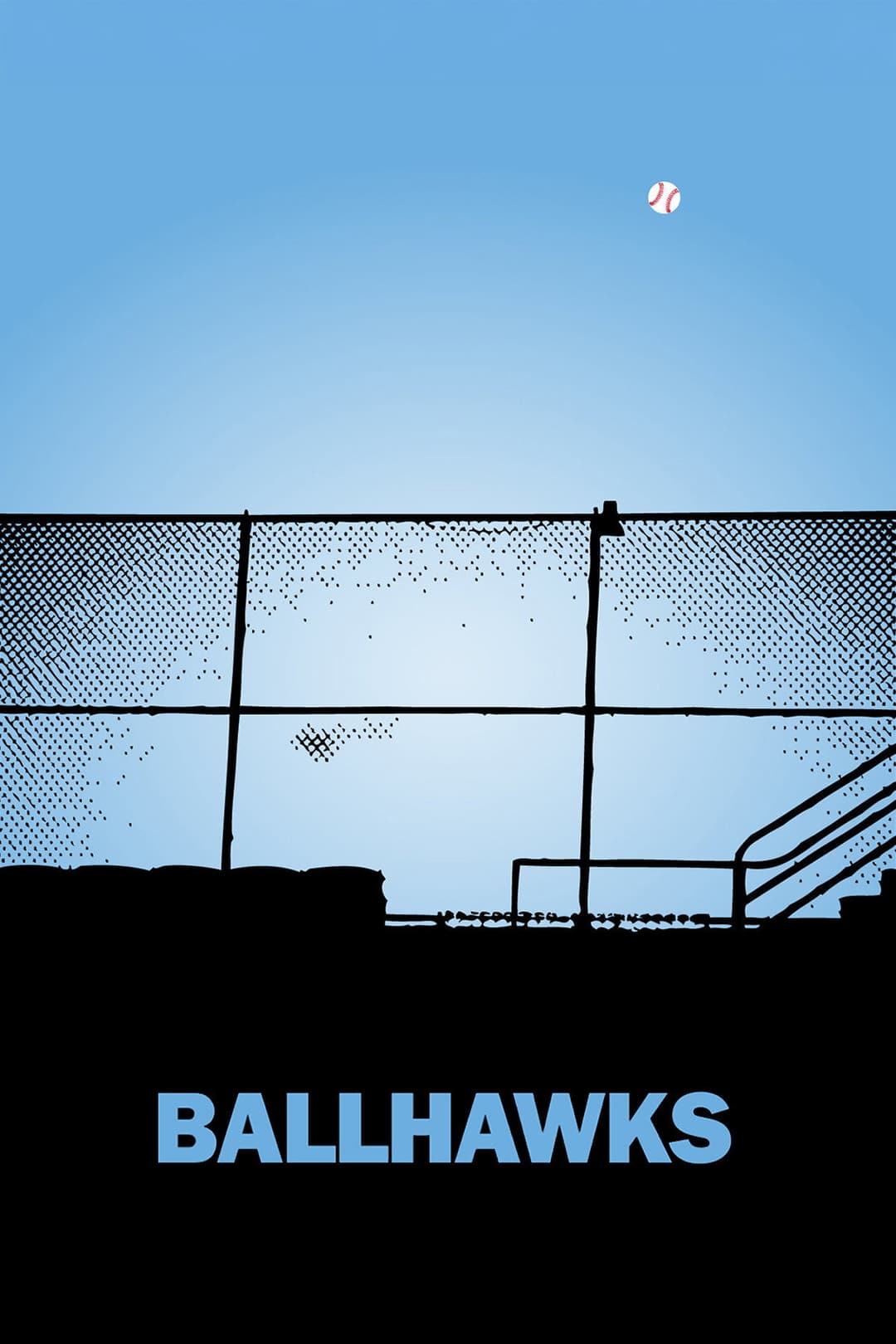 Poster di Ballhawks