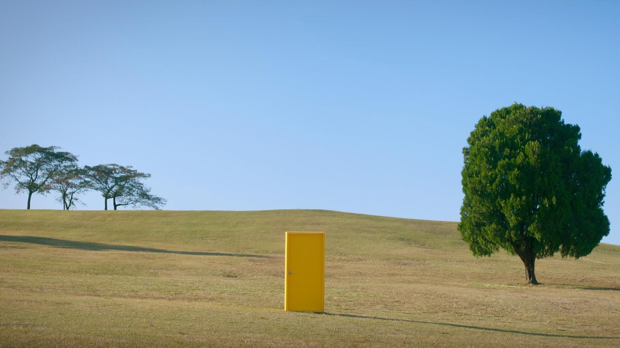 Yellow Door - L'ascesa del cinema coreano - immagine