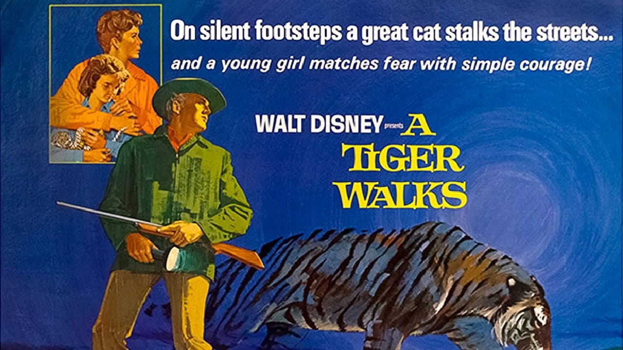 Tigre in agguato - immagine