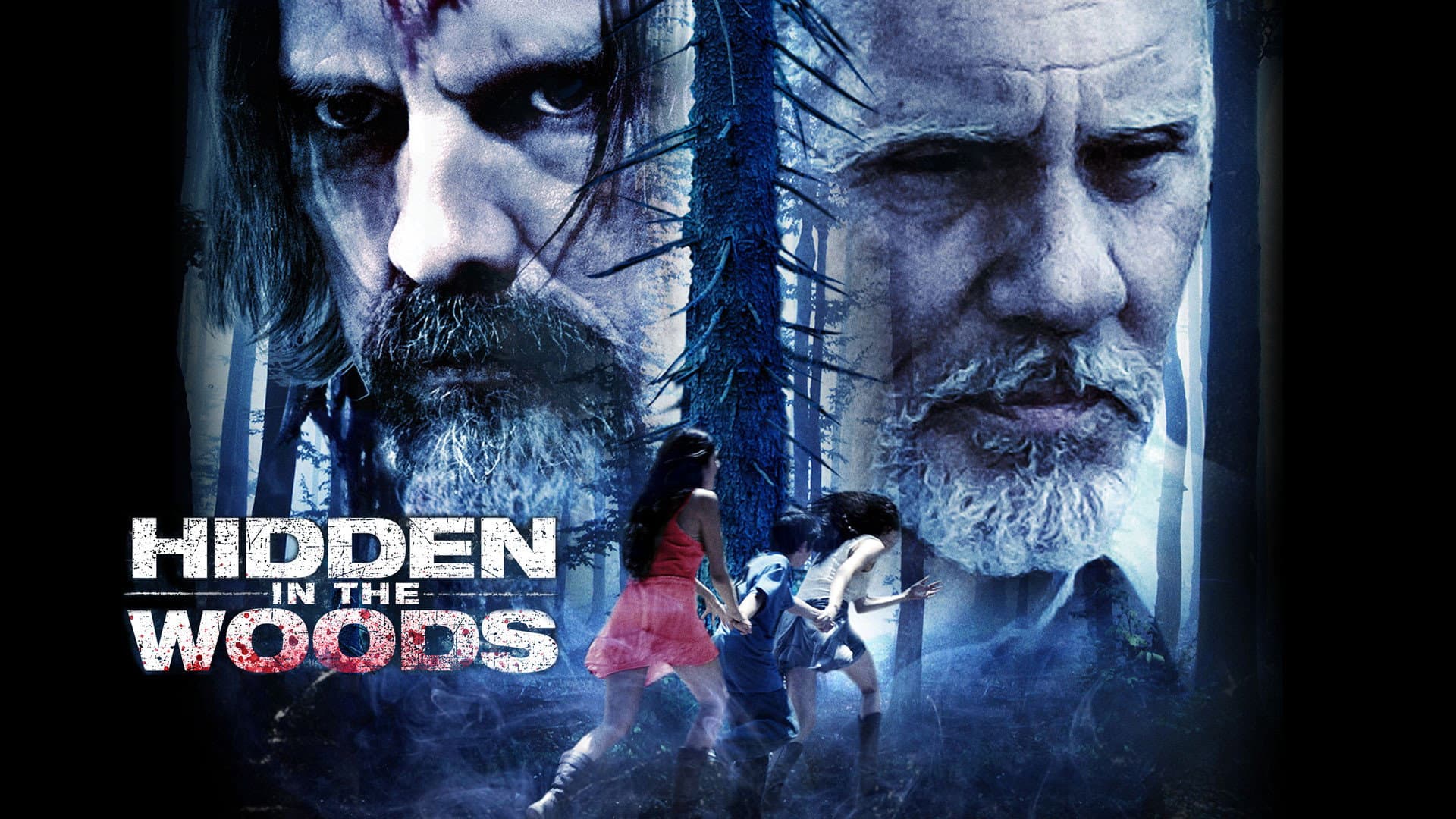 Hidden in the Woods - immagine