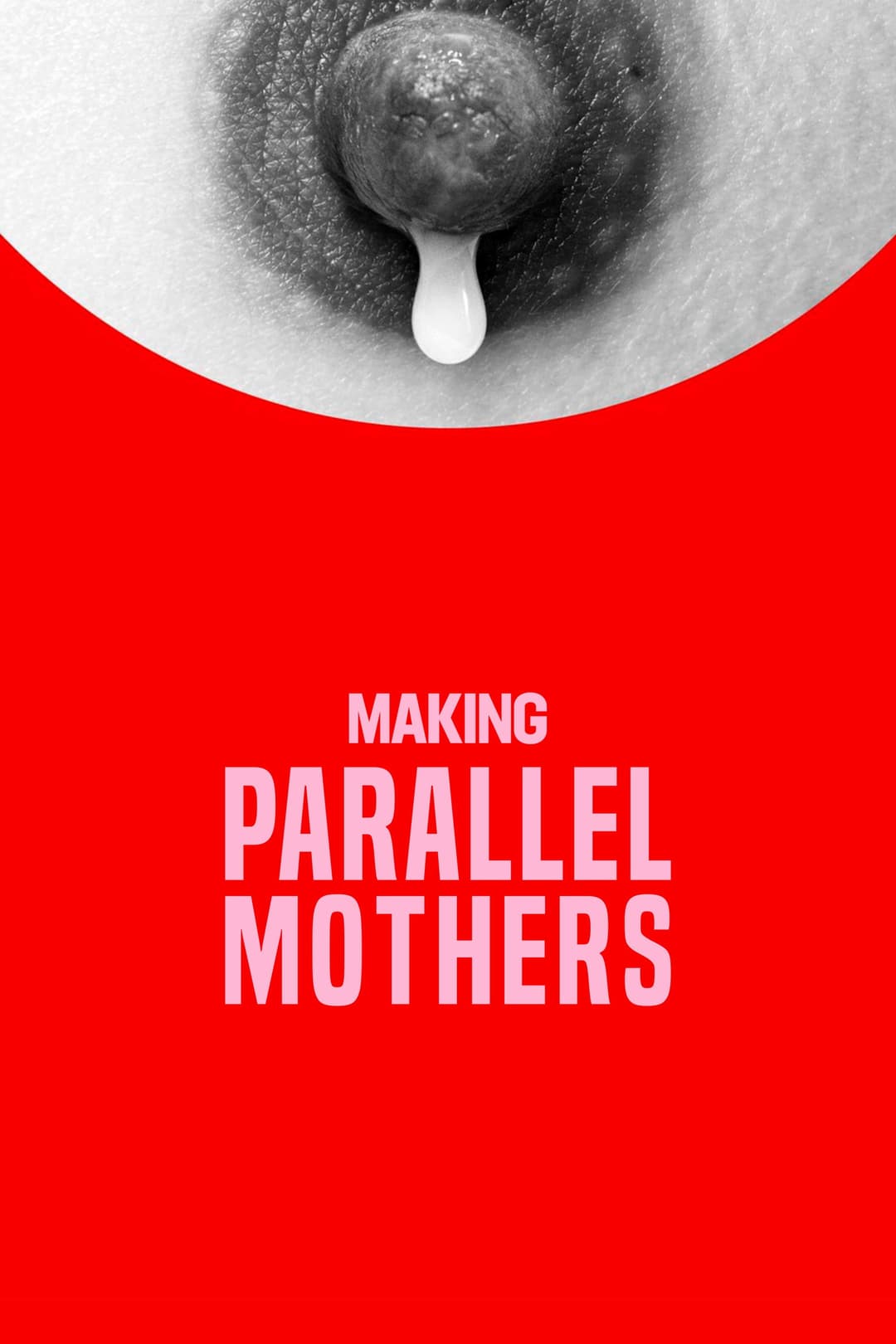 Poster di Making Parallel Mothers