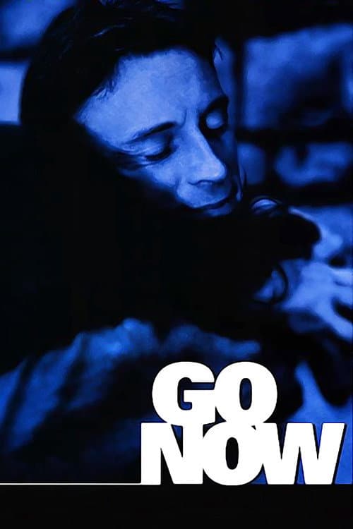 Poster di Go Now