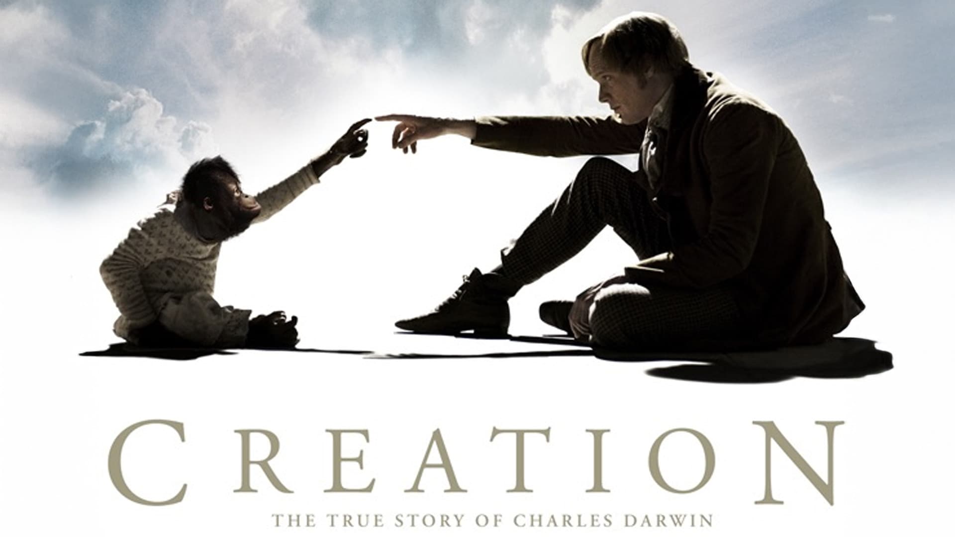 Creation - L'evoluzione di Darwin - immagine