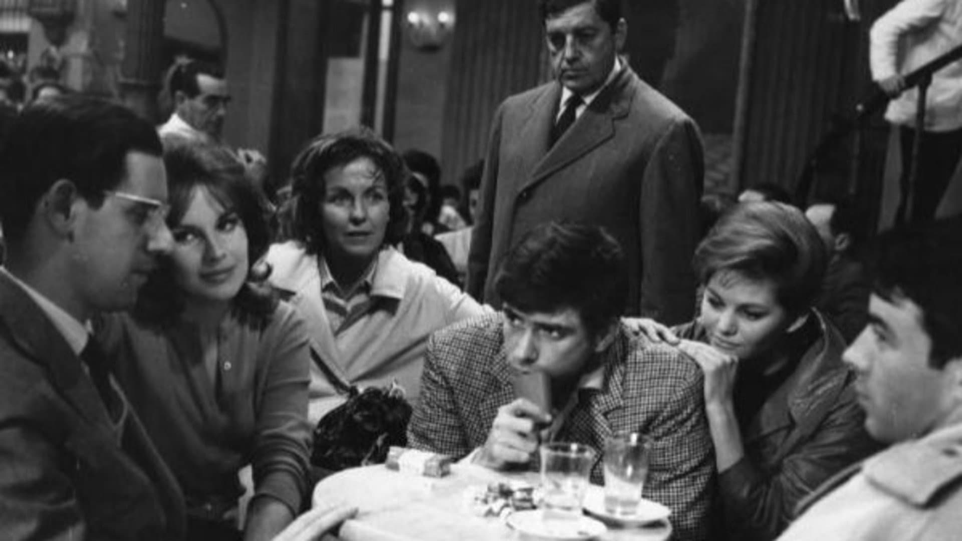 I delfini - immagine