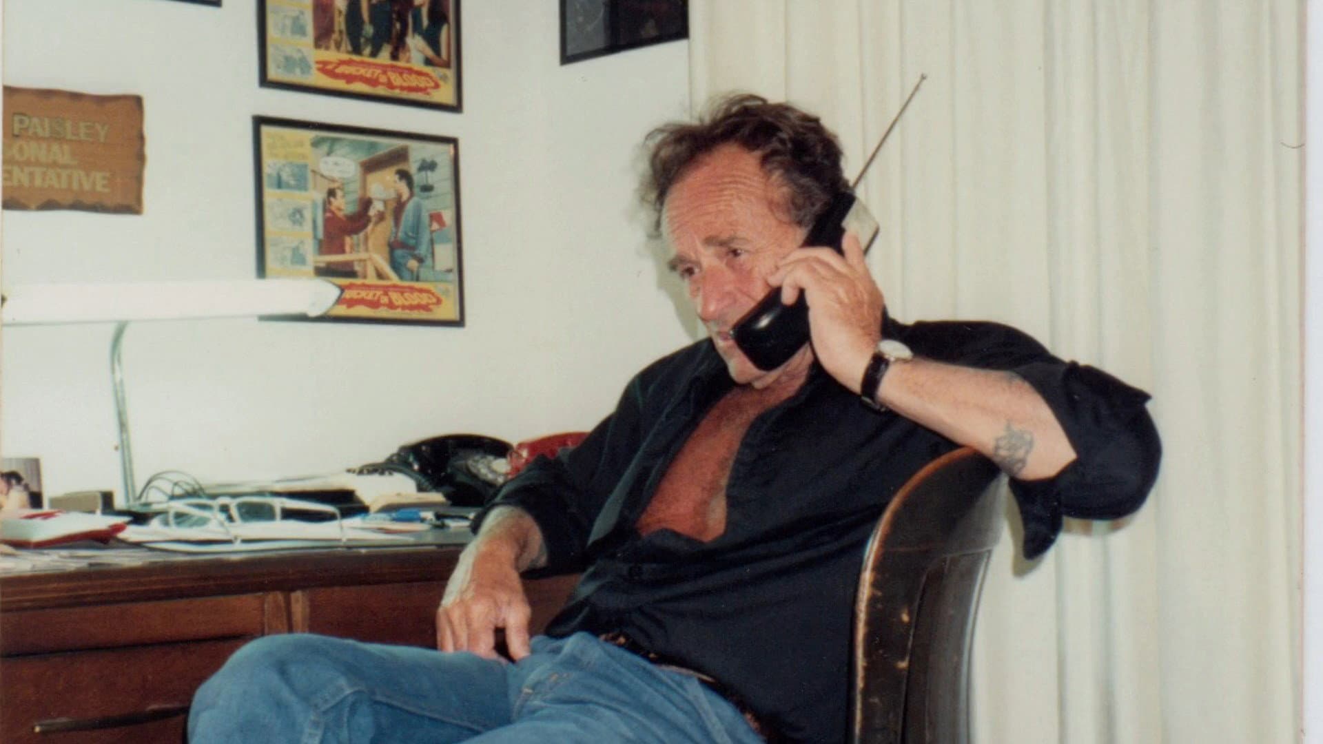 That Guy Dick Miller - immagine