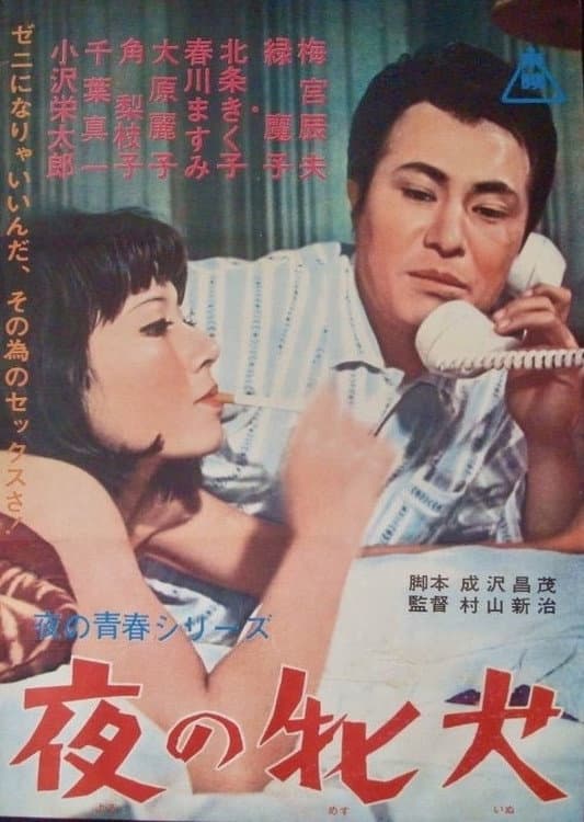 Poster di 夜の牝犬