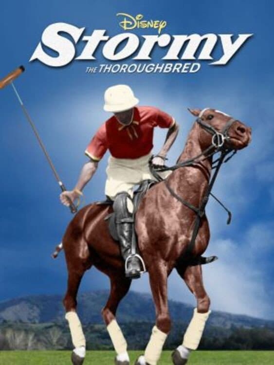 Poster di Stormy, the Thoroughbred