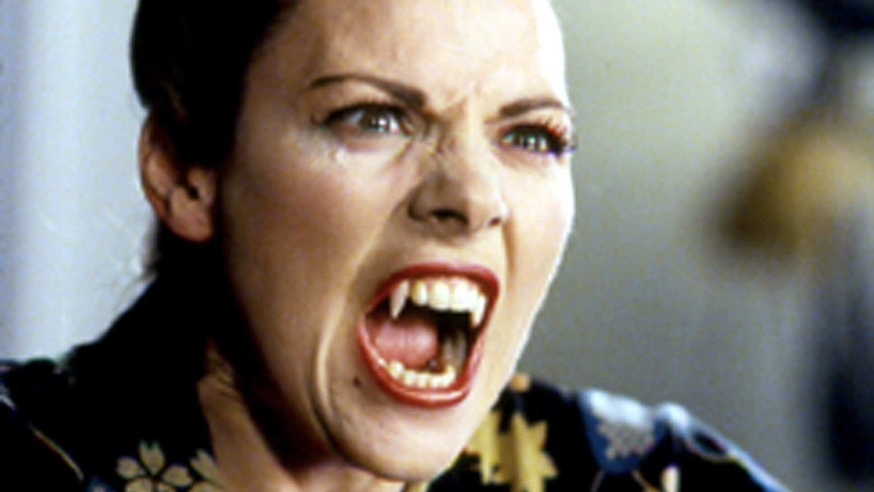Modern Vampires - immagine