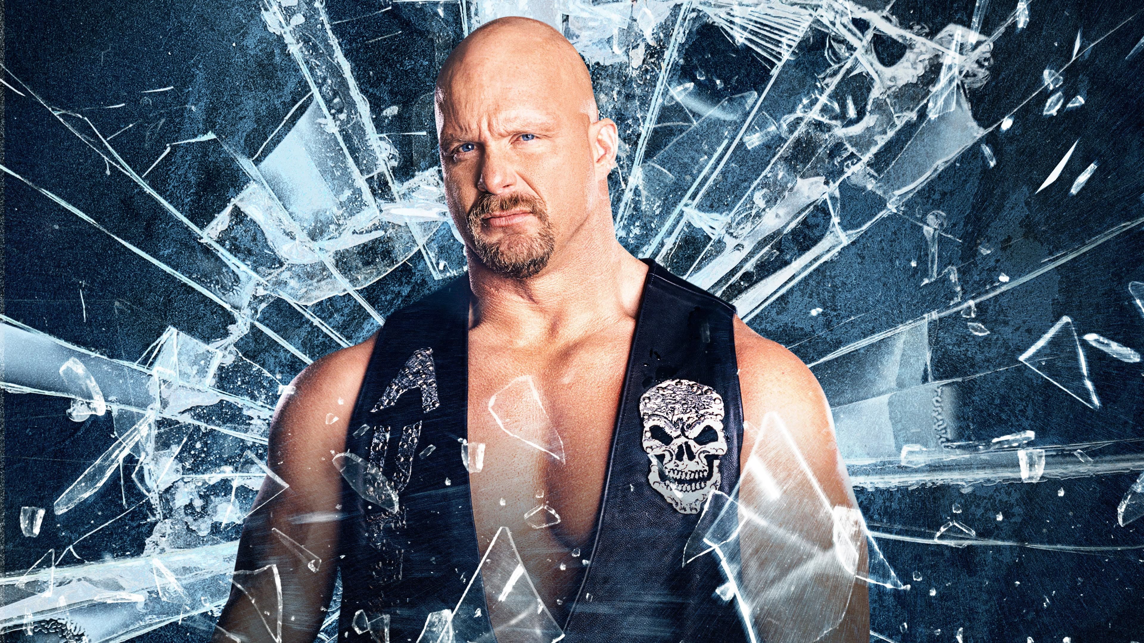 Meeting Stone Cold - immagine