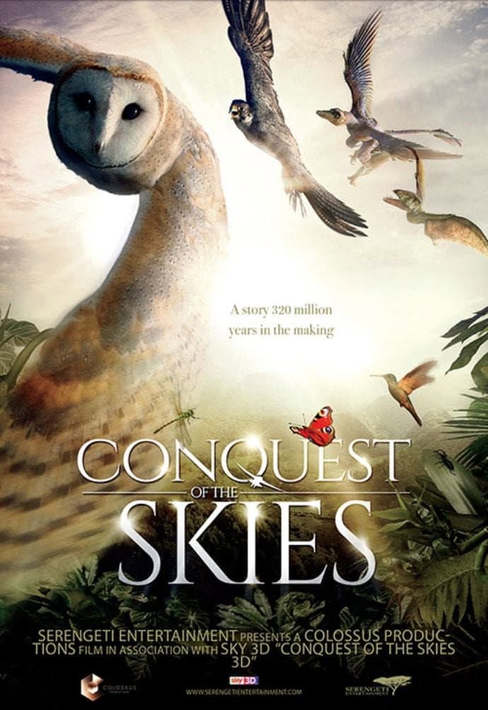 Poster di Wild Flight: Conquest of the Skies 3D