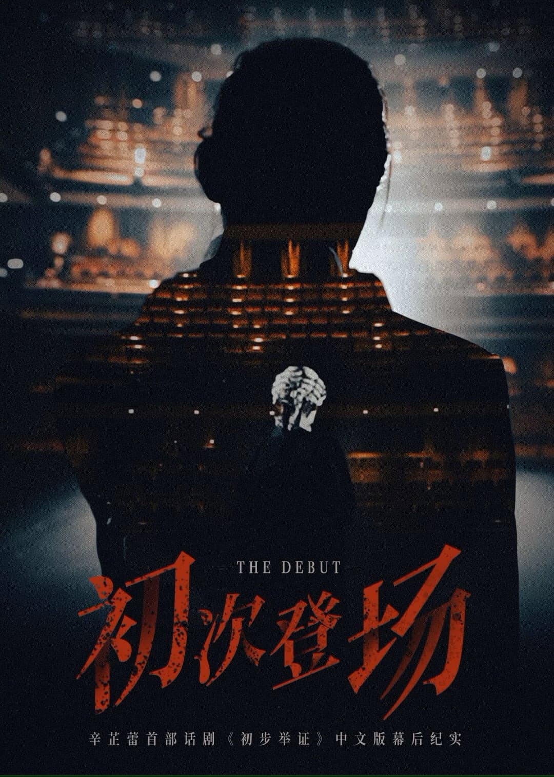 Poster di 初次登场
