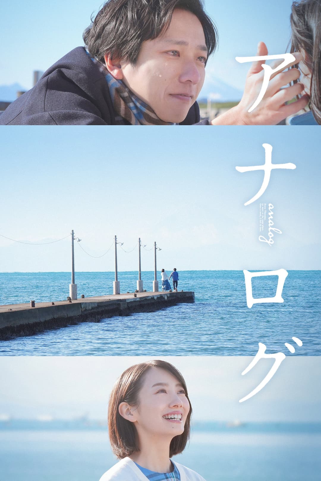 Poster di アナログ
