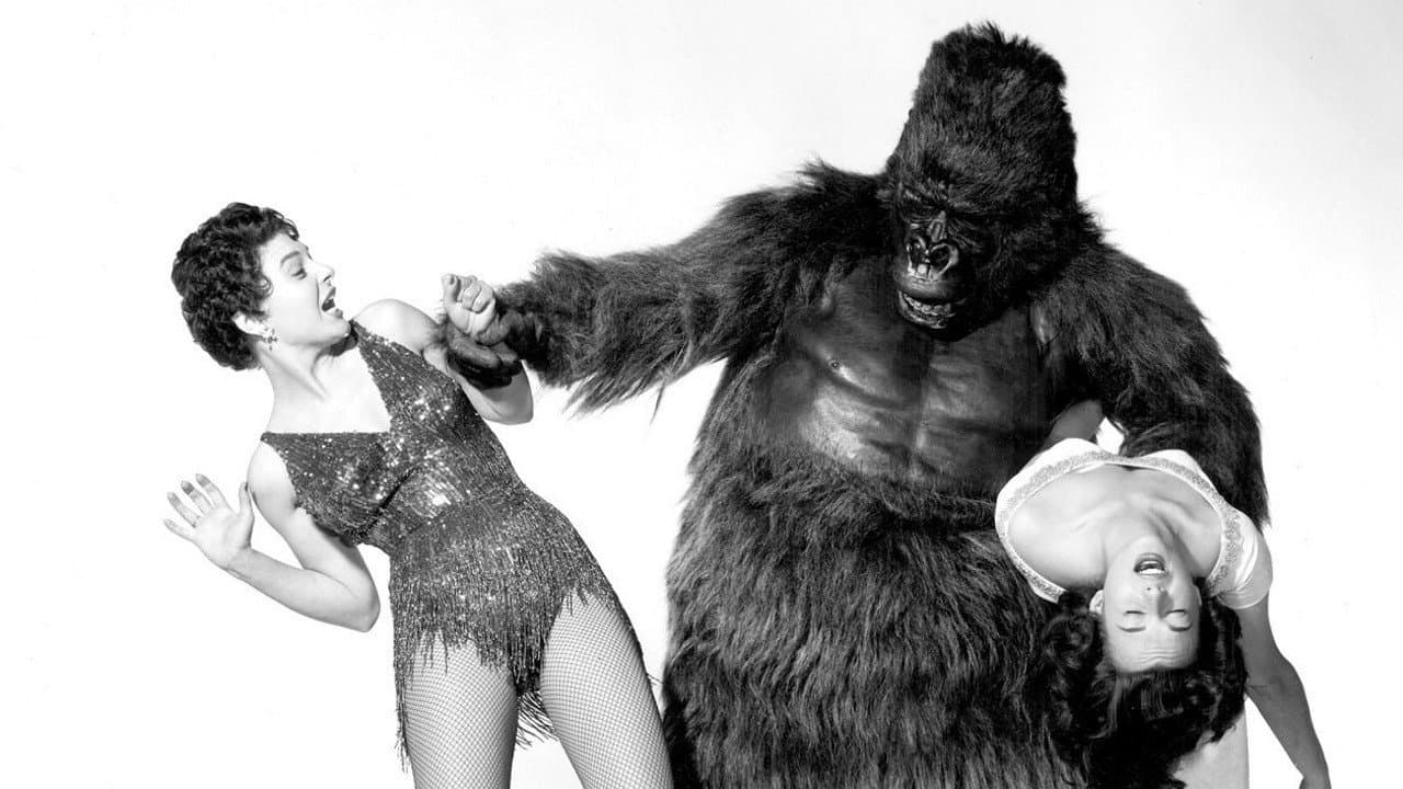 Gorilla in fuga - immagine