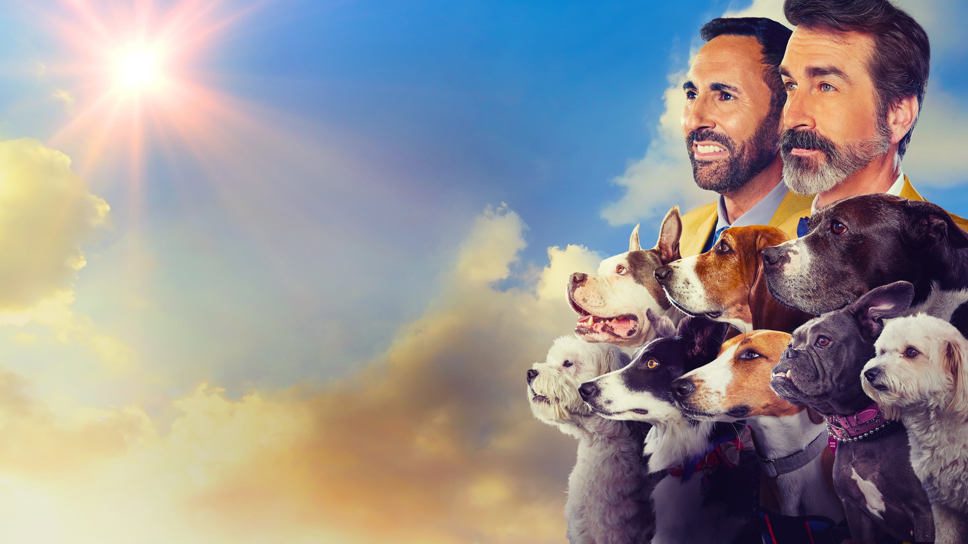 2022 American Rescue Dog Show - immagine