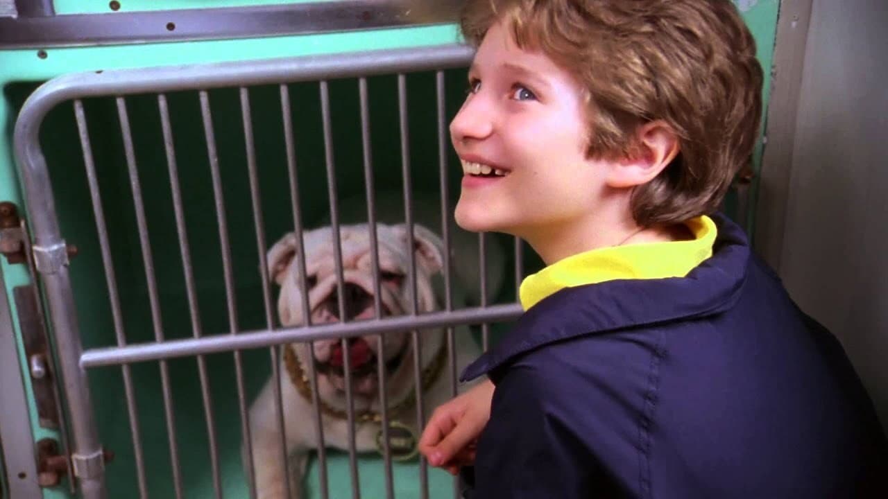 The Dogfather - immagine