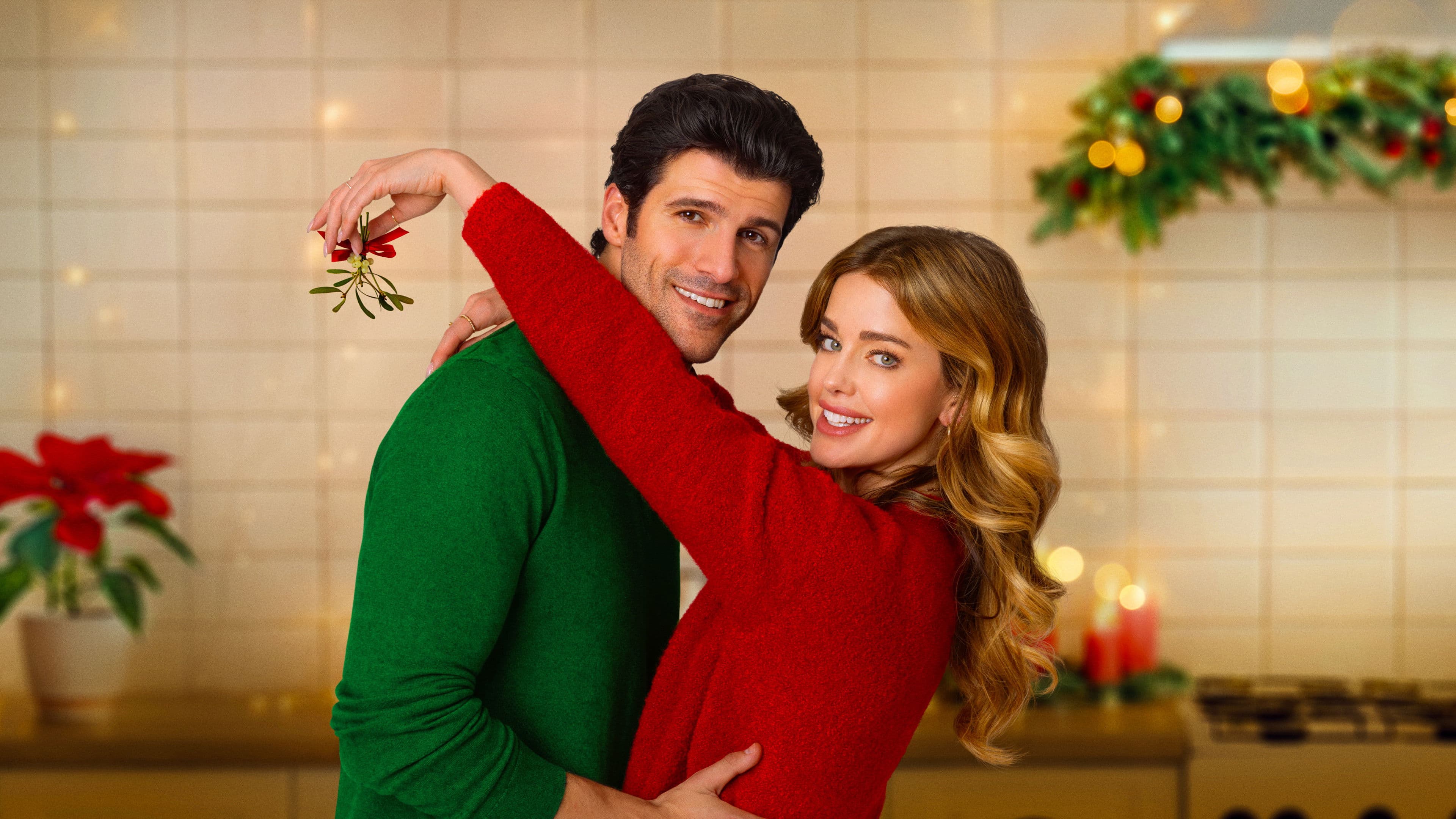 The Christmas Cookbook - immagine