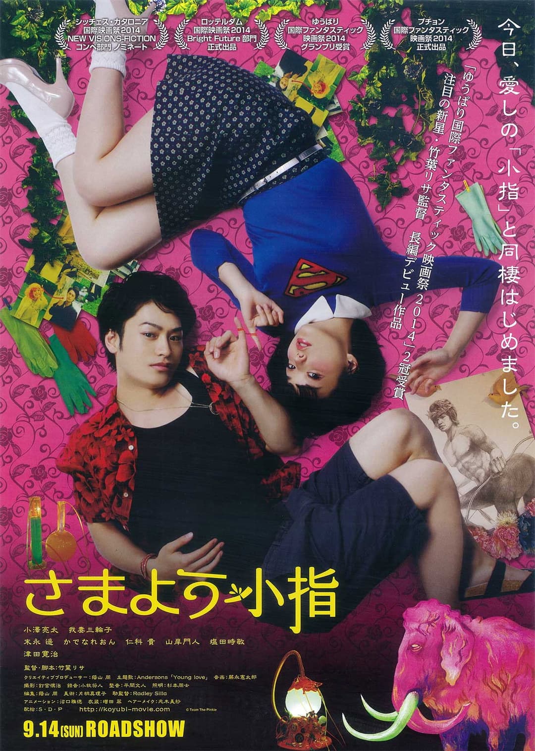 Poster di さまよう小指