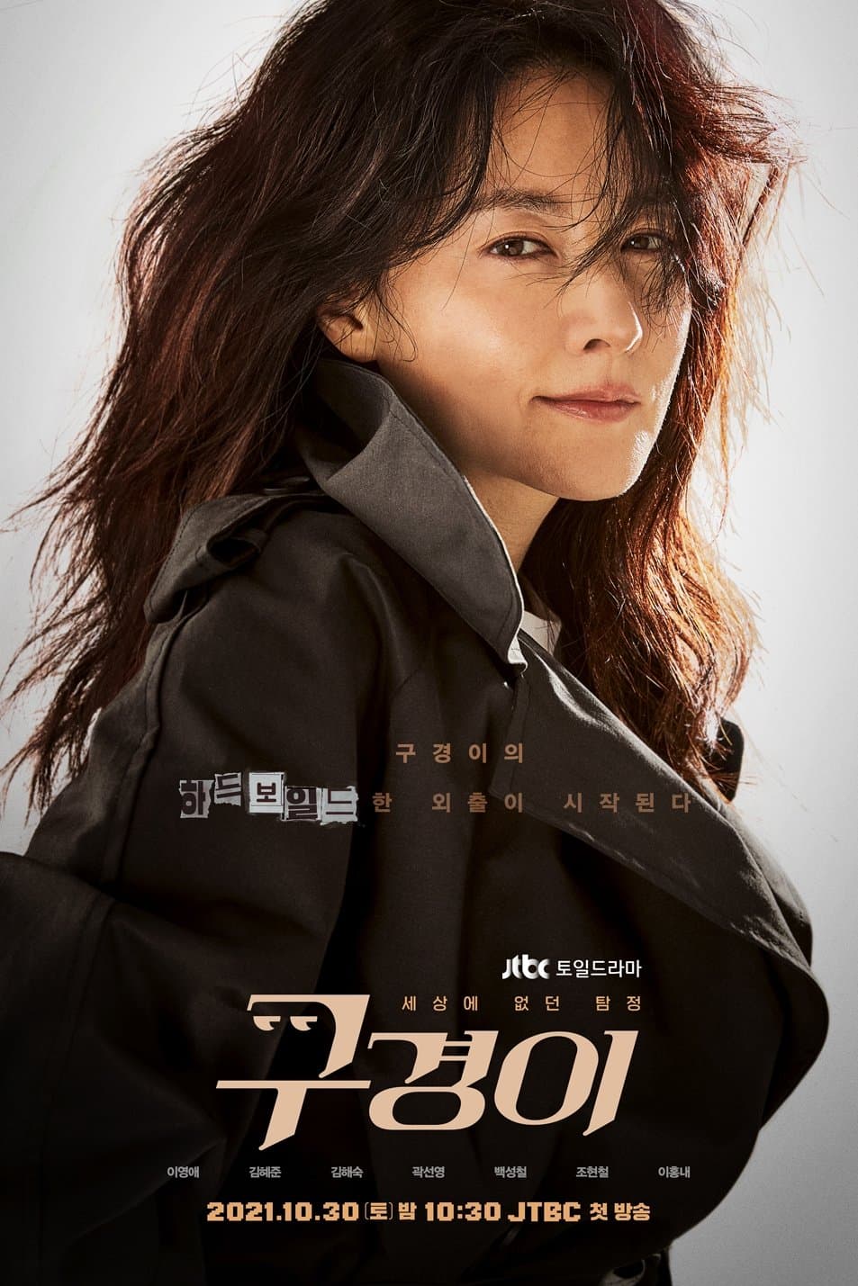 Poster di Inspector Koo