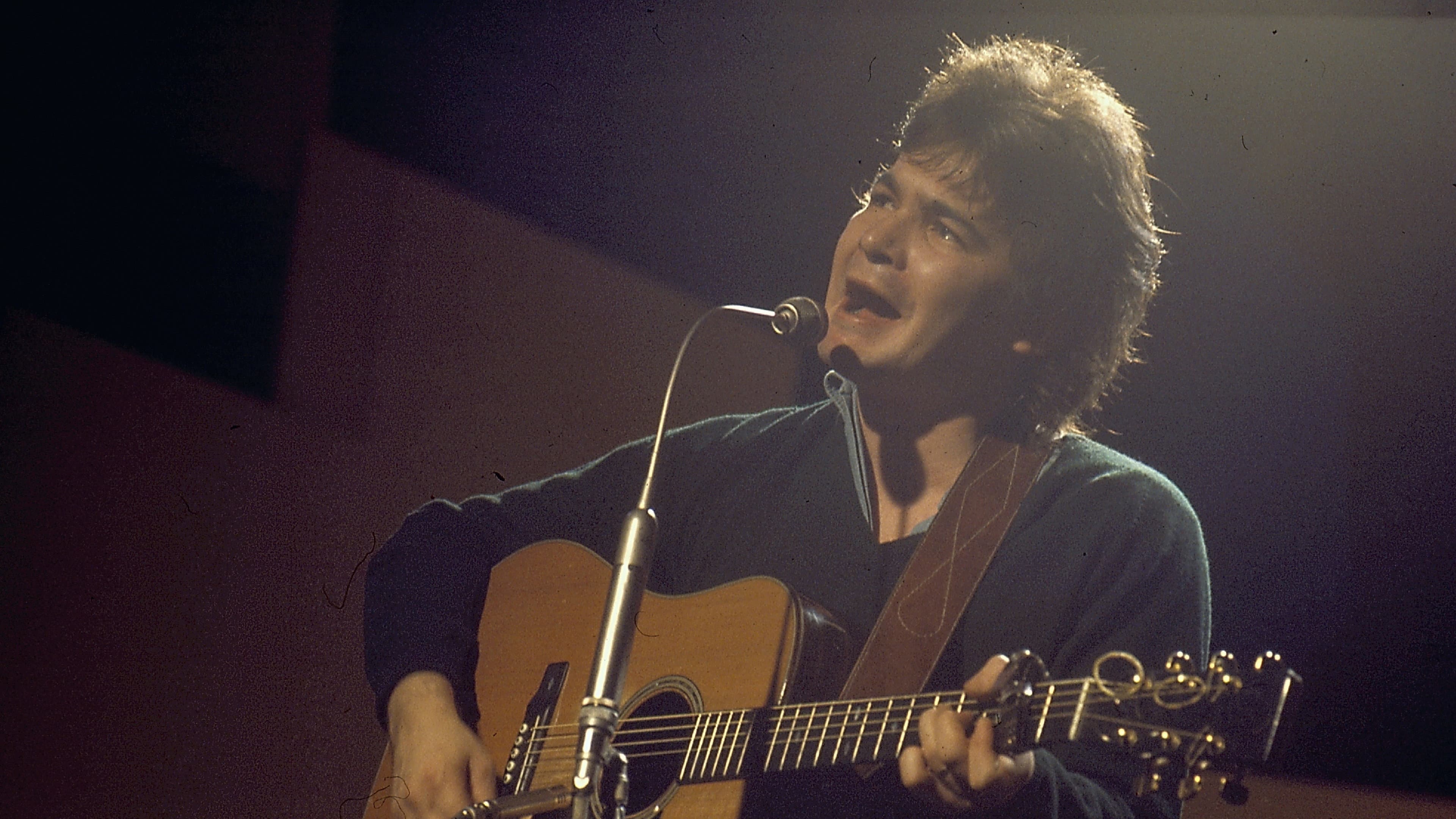 Picture Show: A Tribute Celebrating John Prine - immagine