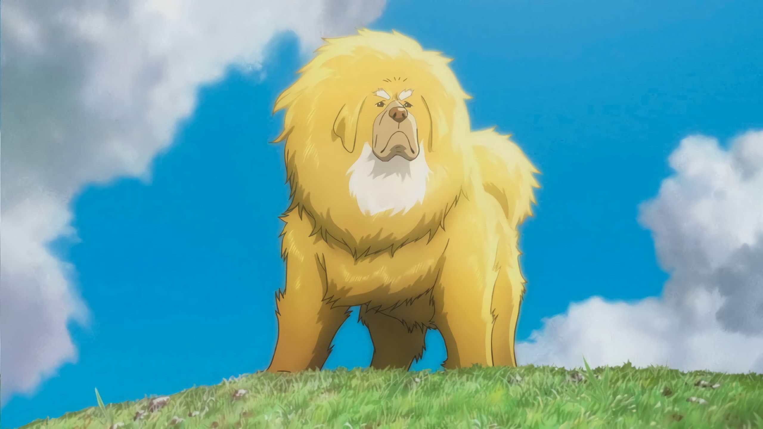 The Tibetan Dog - immagine