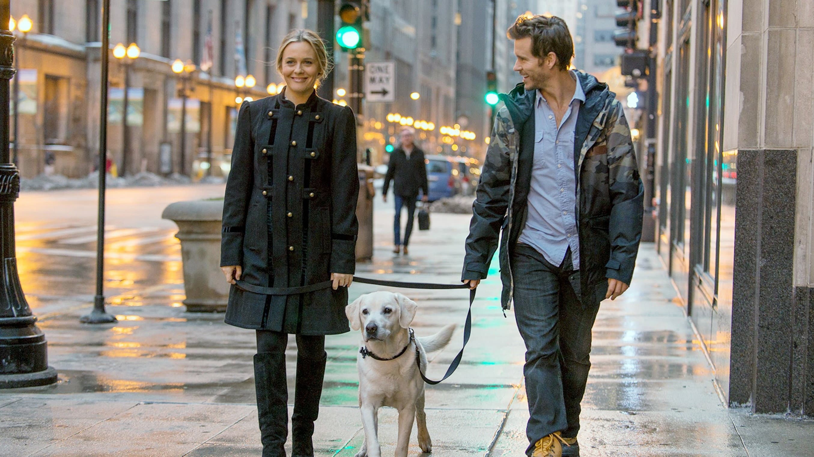 Mozart, un cane per due - immagine