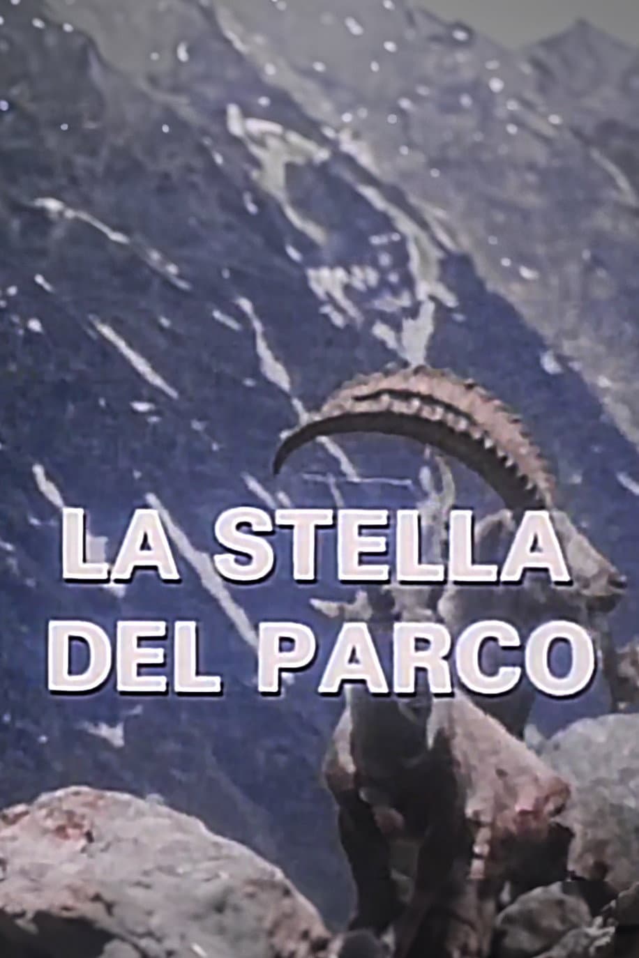 Poster di La Stella Del Parco