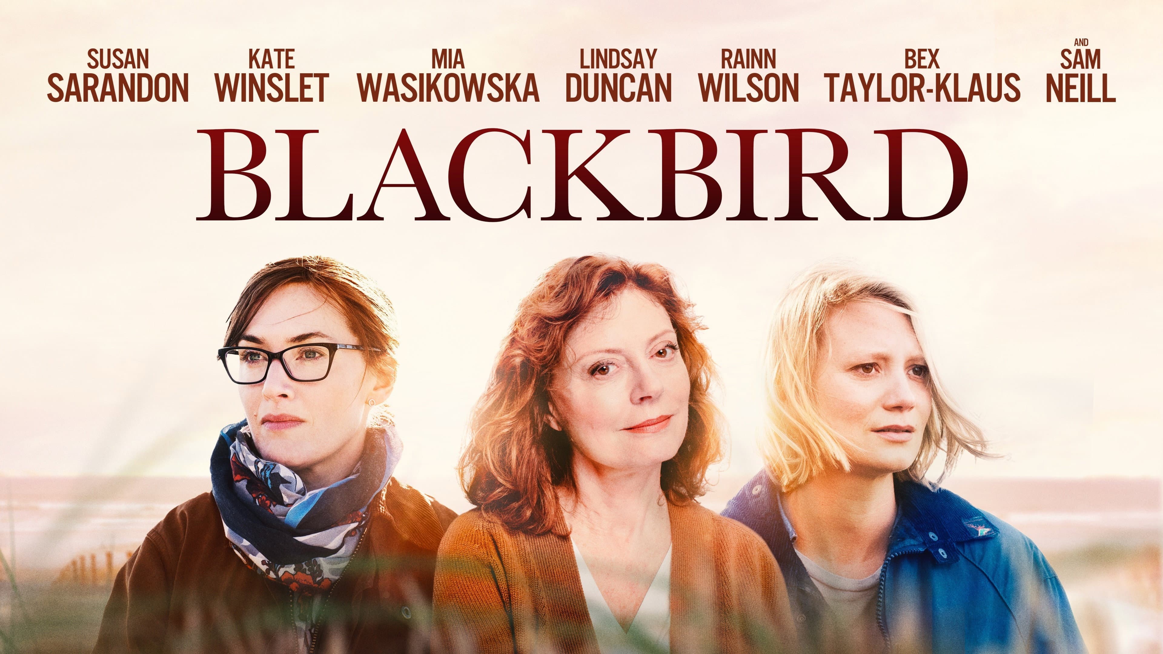 Blackbird - L'ultimo abbraccio - immagine
