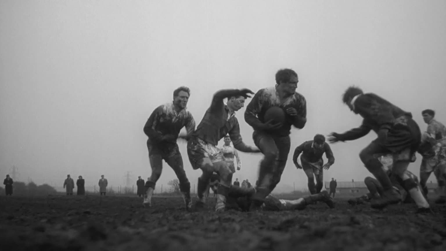 Io sono un campione - immagine