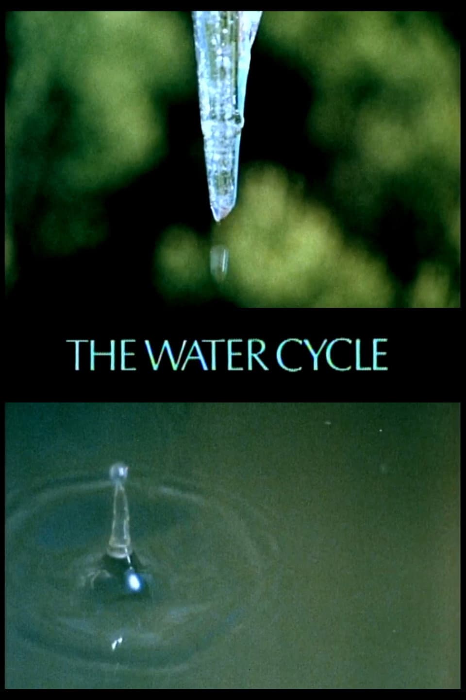 Poster di The Water Cycle