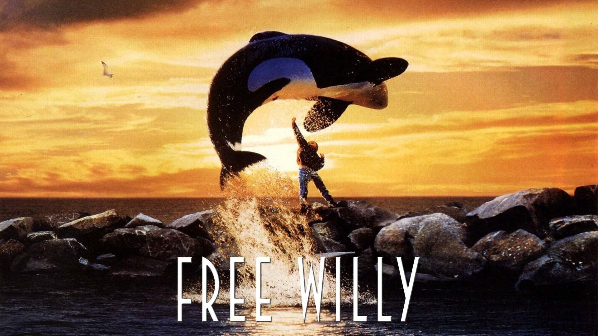 Free Willy - Un amico da salvare - immagine