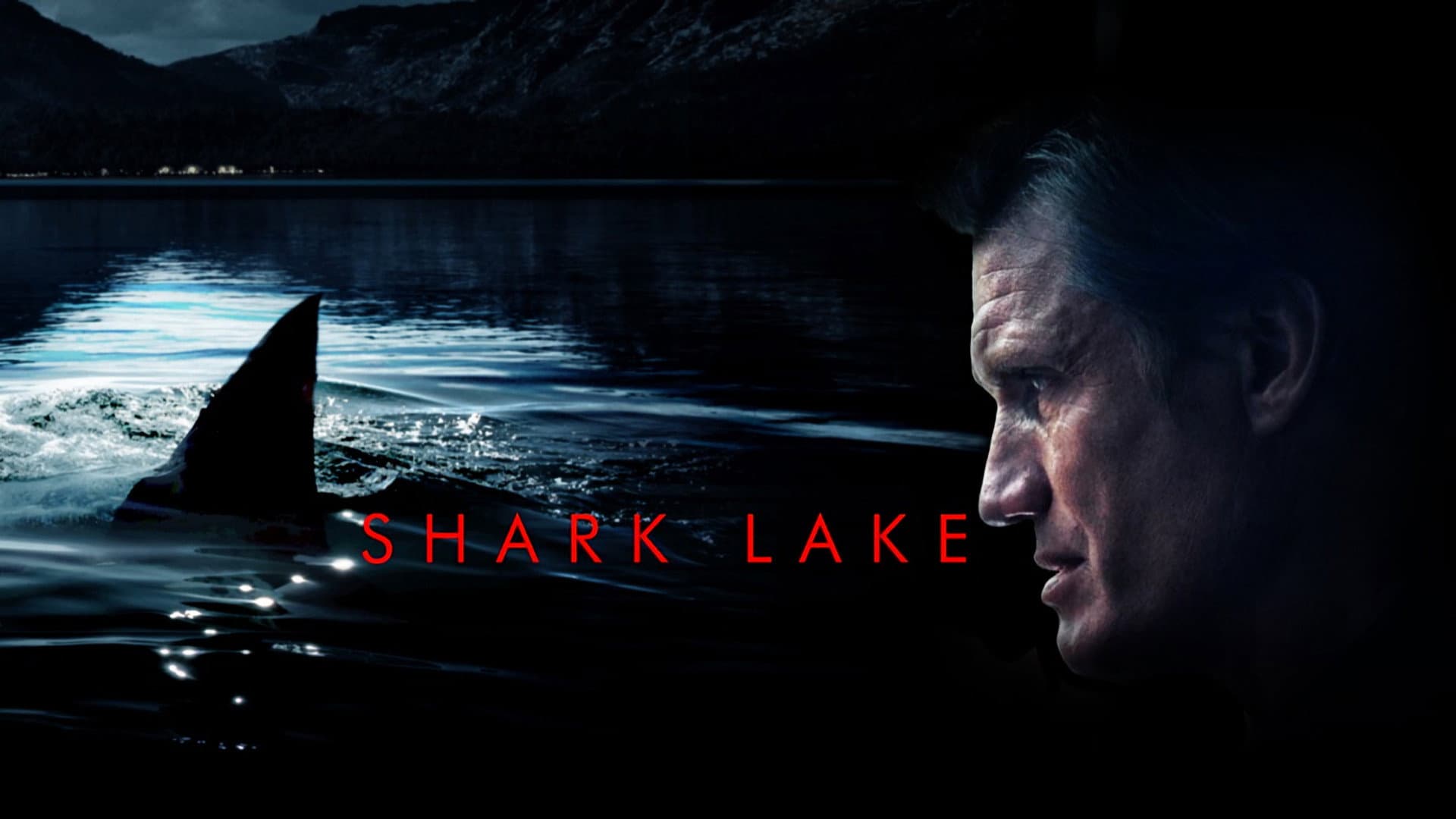 Shark Lake - immagine