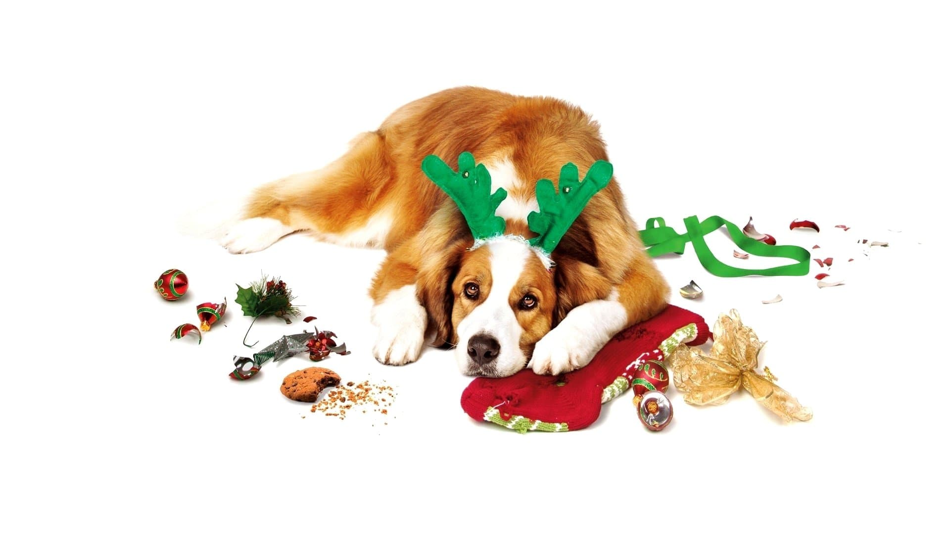 Natale all'improvviso - immagine