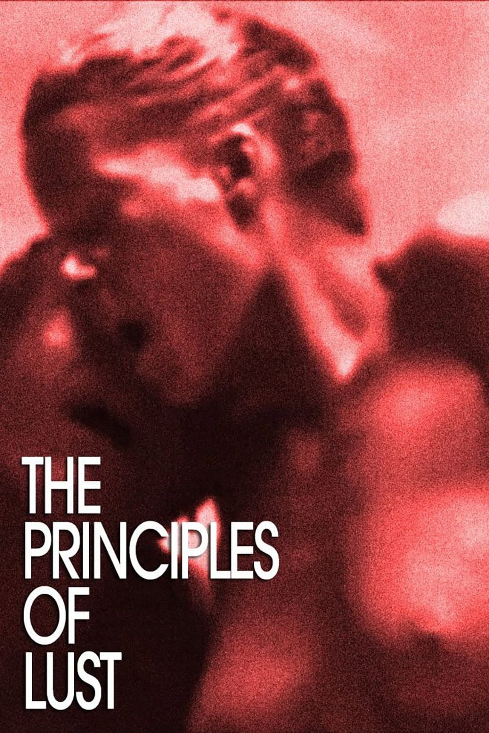 Poster di The Principles of Lust